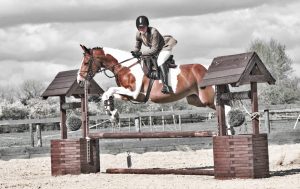 Equestrian Events Photographer Derby - Action Shot 1
